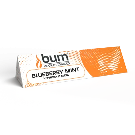Купить Табак Burn 25г Blueberry Mint М