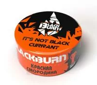 Табак Black Burn 25г Red Currant (It's Not Black Currant) М