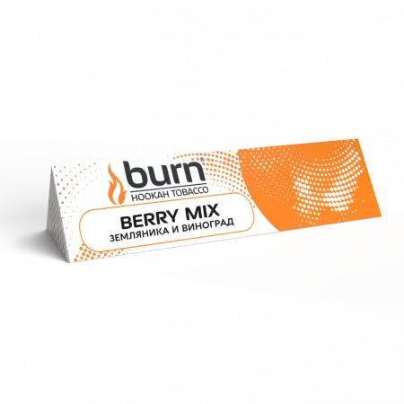 Табак Burn 25г Berry Mix М